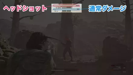 頭を狙うと大ダメージ