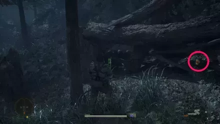 ガーコ6の実際の場所画像