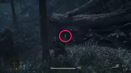 ケロタン6の実際の場所画像