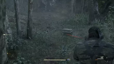 スタングレネードの見た目画像