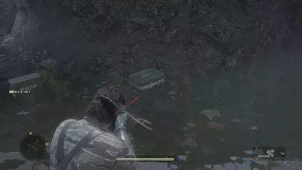 スタングレネードの見た目画像