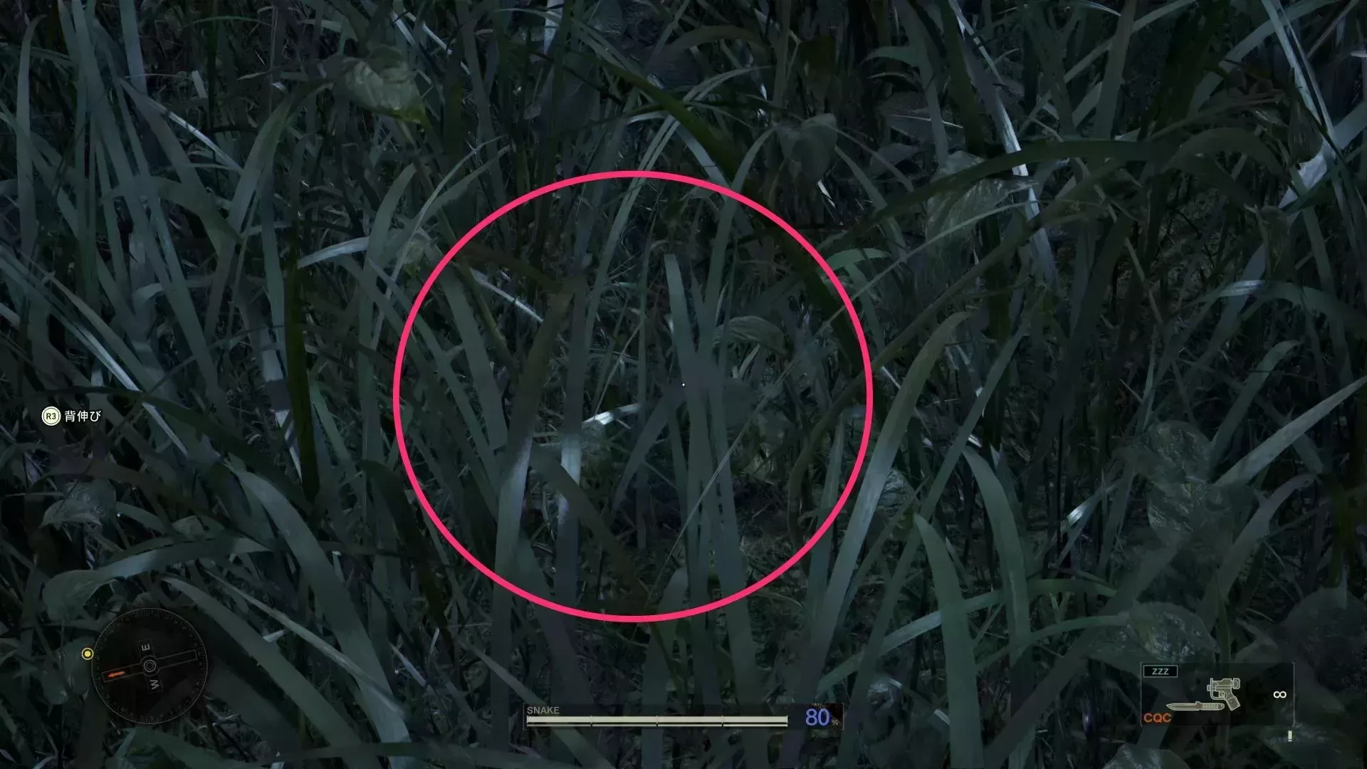 キングコブラの見た目画像