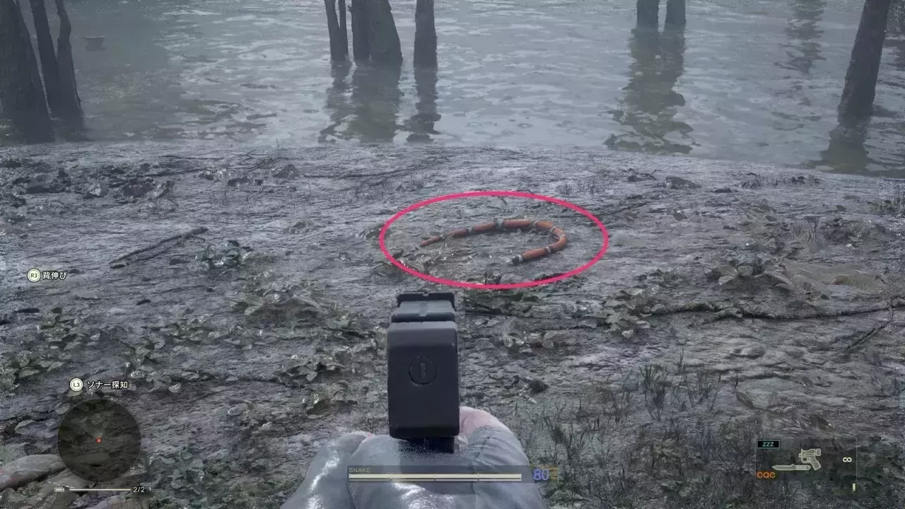 ミルクヘビの見た目画像