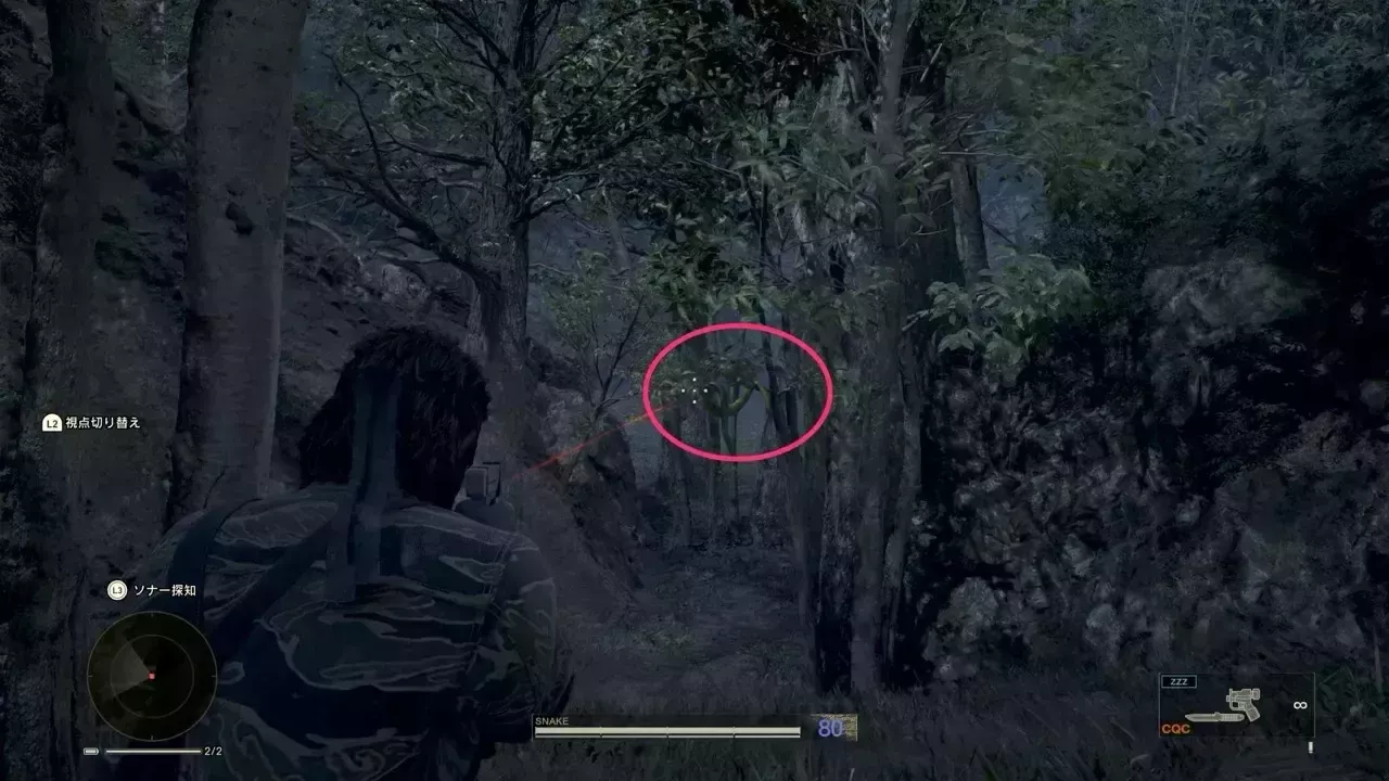 ミドリニシキヘビの見た目画像