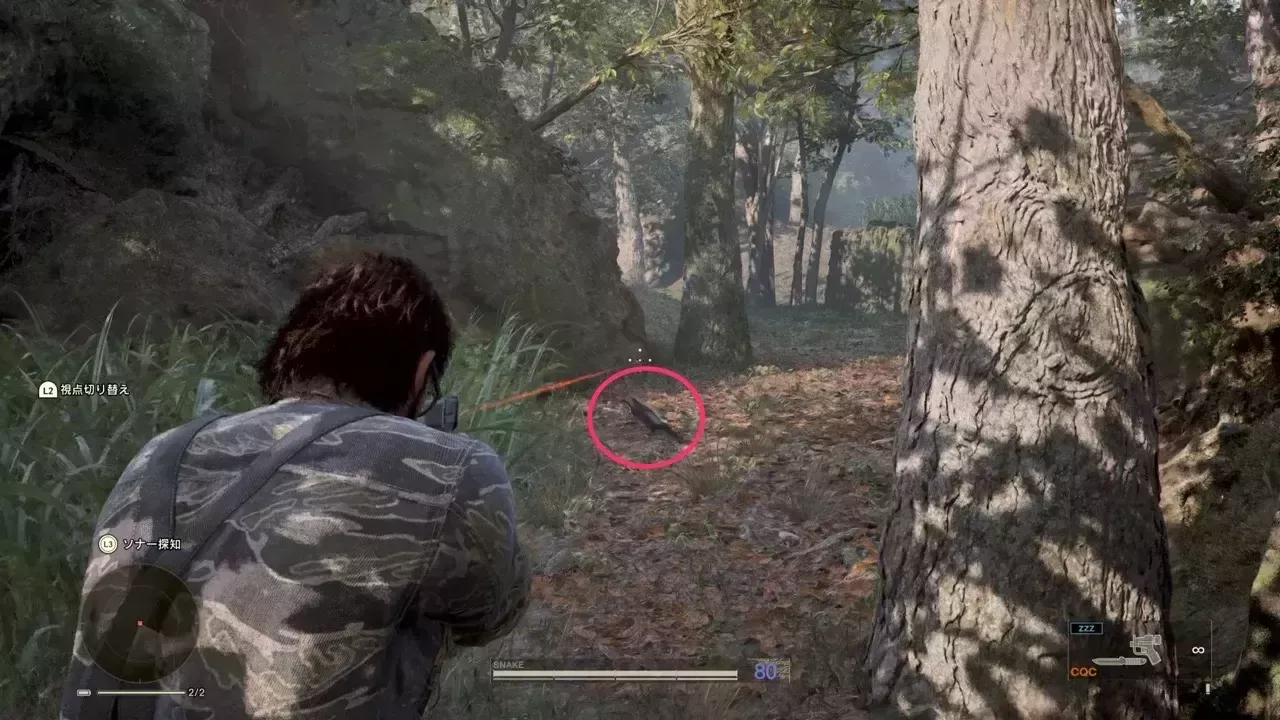 スンダルリチョウの見た目画像