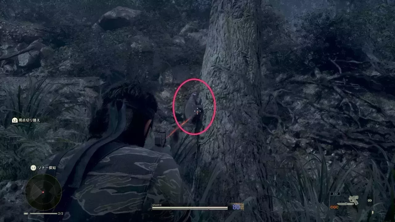 ホオジロムササビの見た目画像