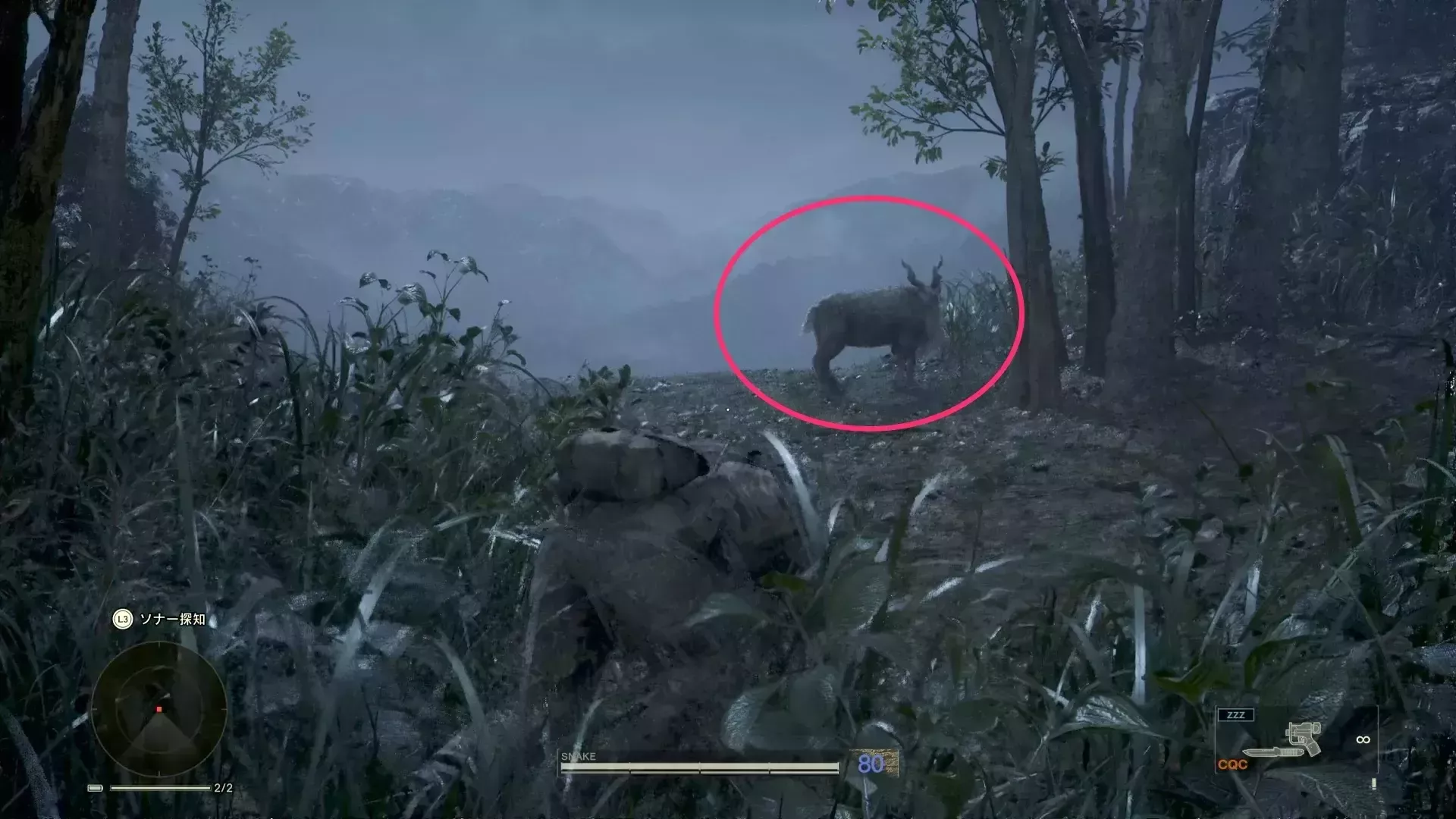 マーコールの見た目画像