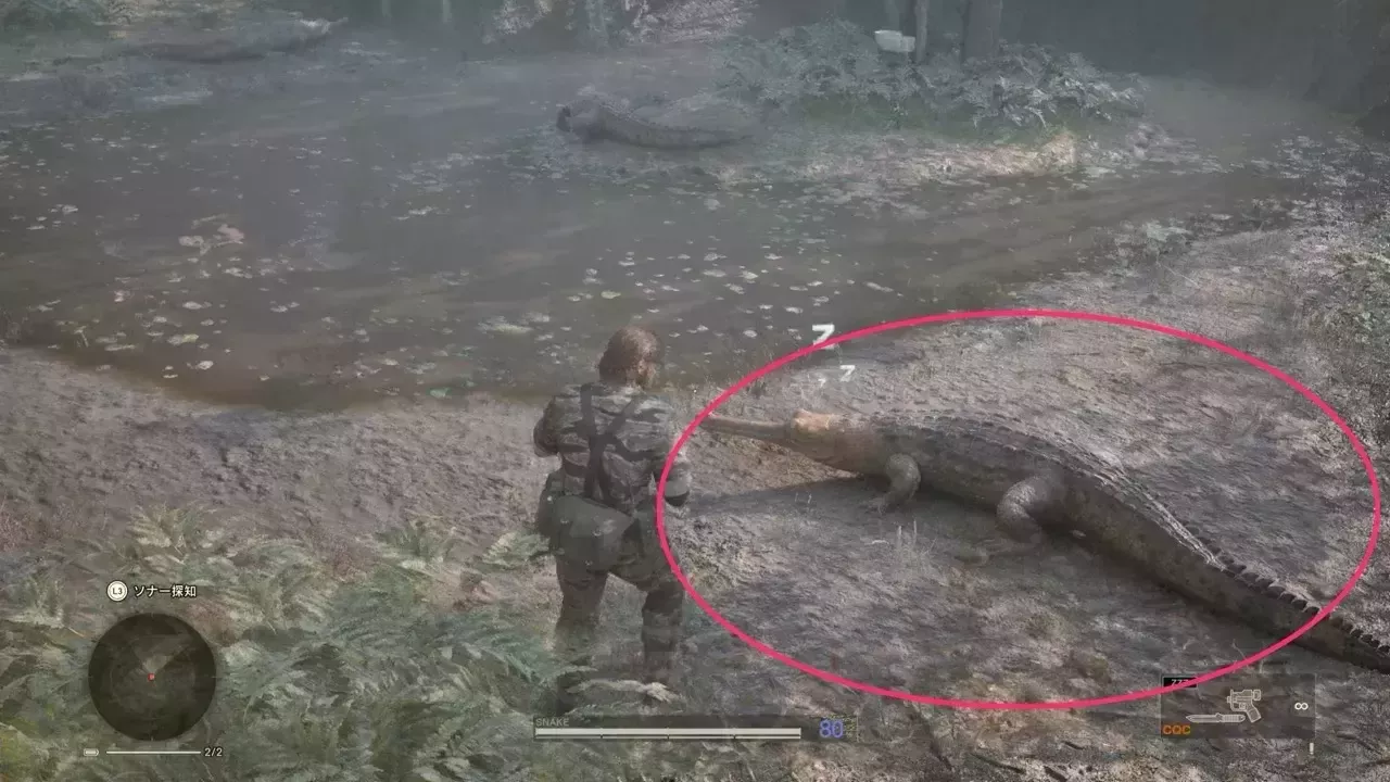 インドガビアルの見た目画像