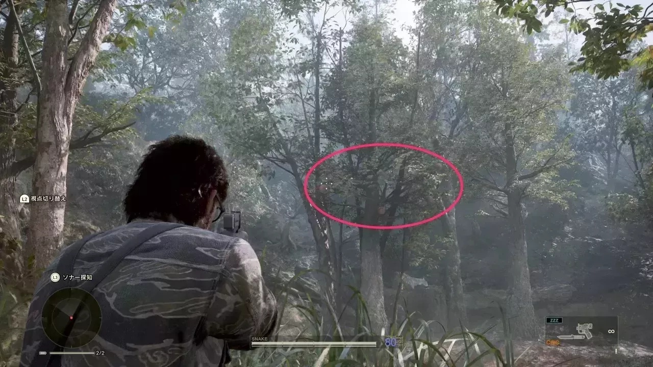 ヤーブロカマラカの見た目画像