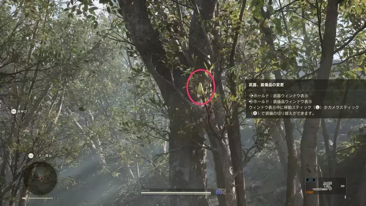 ガラヴァの見た目画像