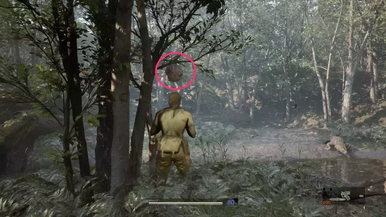 バルトスズメバチの巣の見た目画像