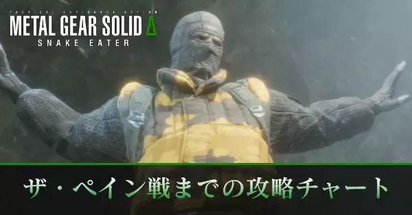 ザ・ペイン戦までの攻略