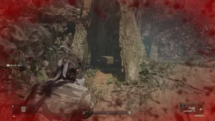 ユニフォーム・チョコチップの見た目画像