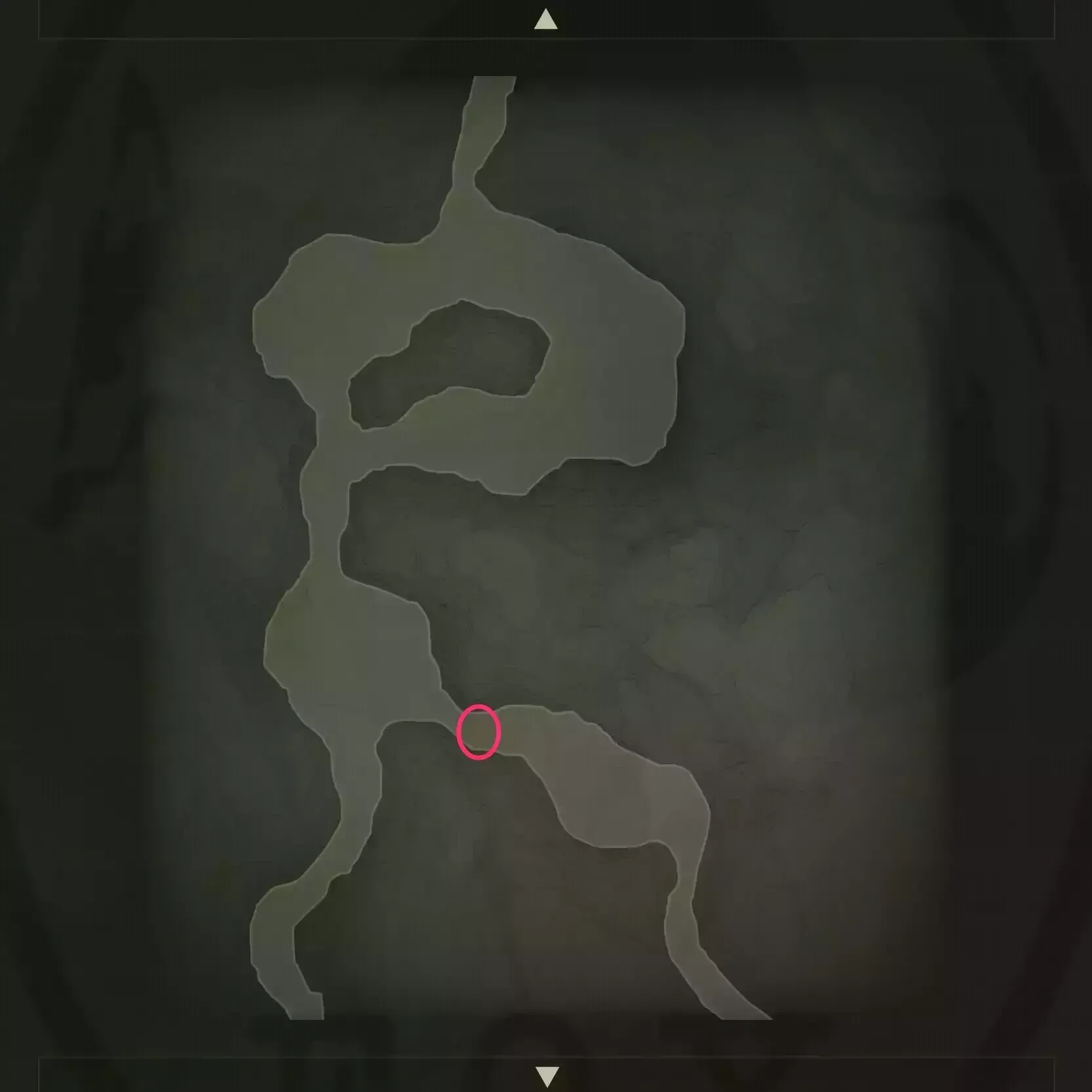 ミドリニシキヘビのマップ画像