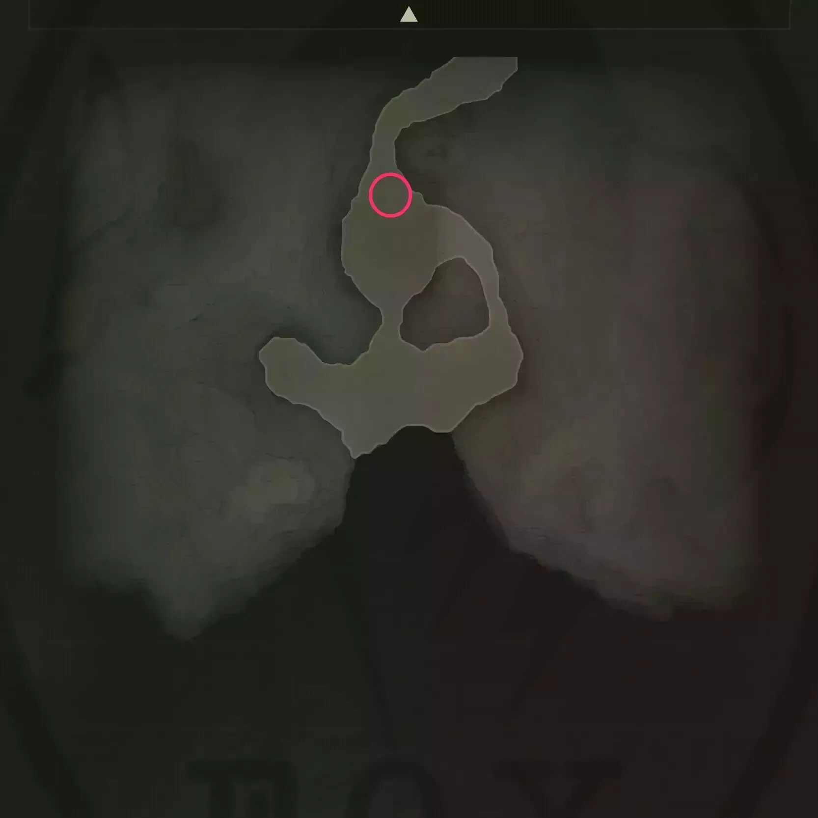 オオアナコンダのマップ画像