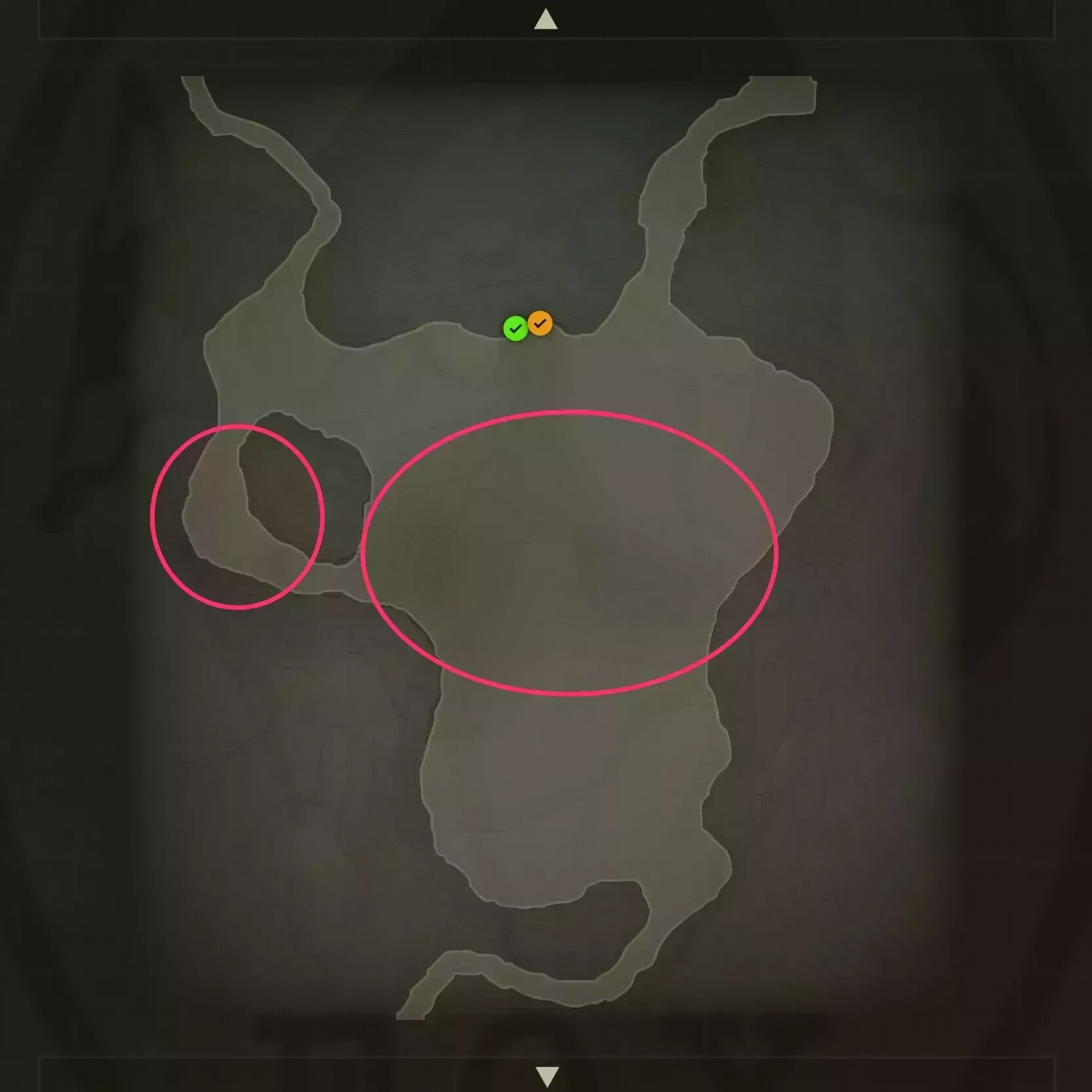 アロワナのマップ画像