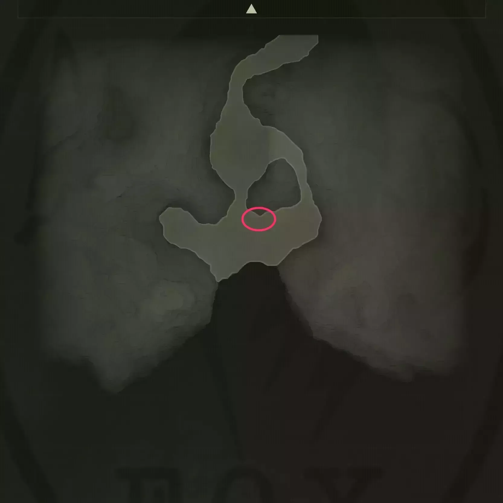 アマガエルのマップ画像