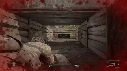 フェイスペイント・スノーの見た目画像