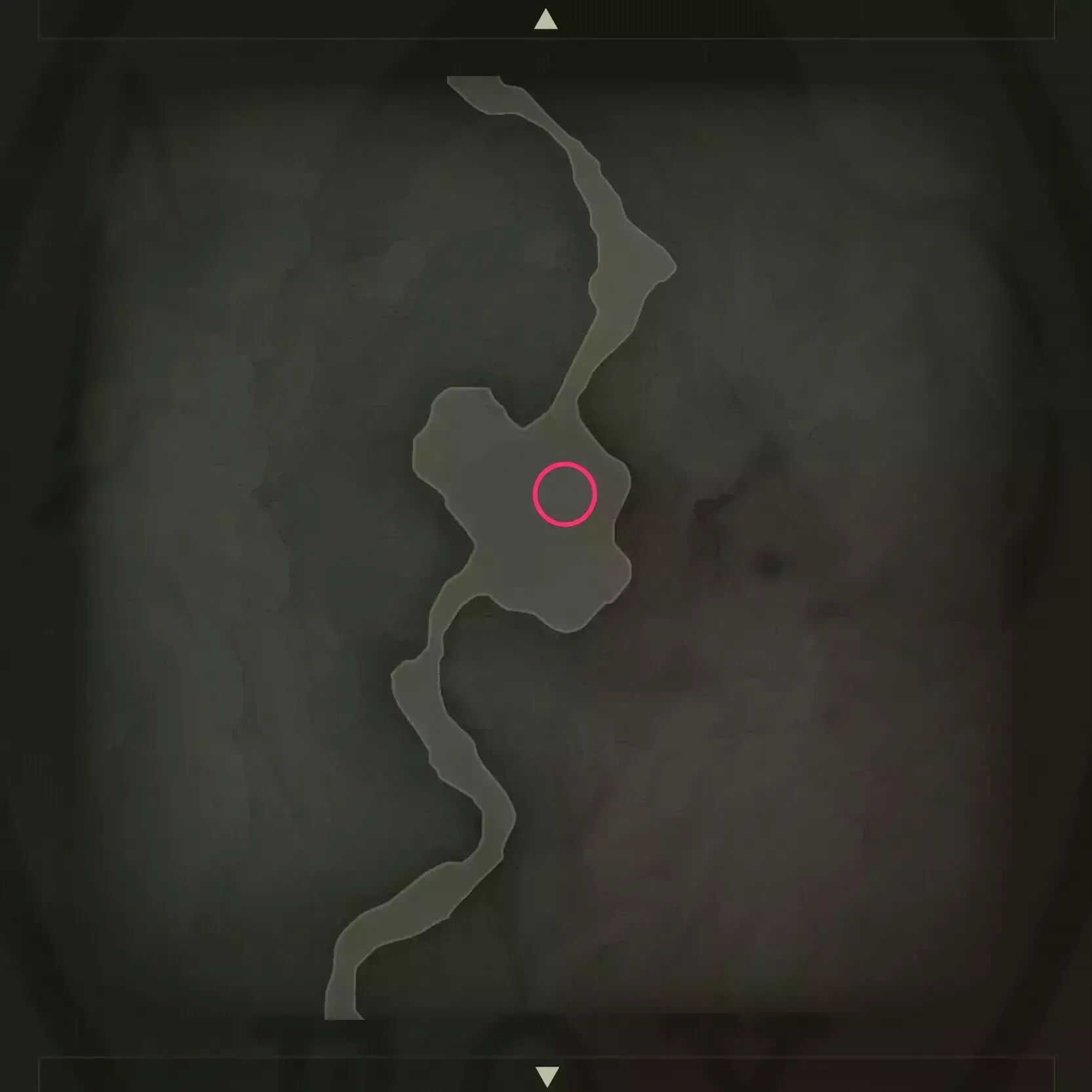 バルトスズメバチの巣のマップ画像