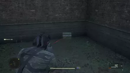 クレイモアの見た目画像