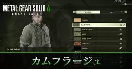 カモフラージュ