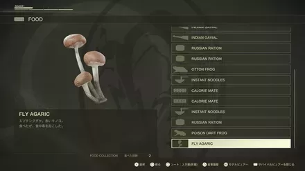 エゾテングダケ