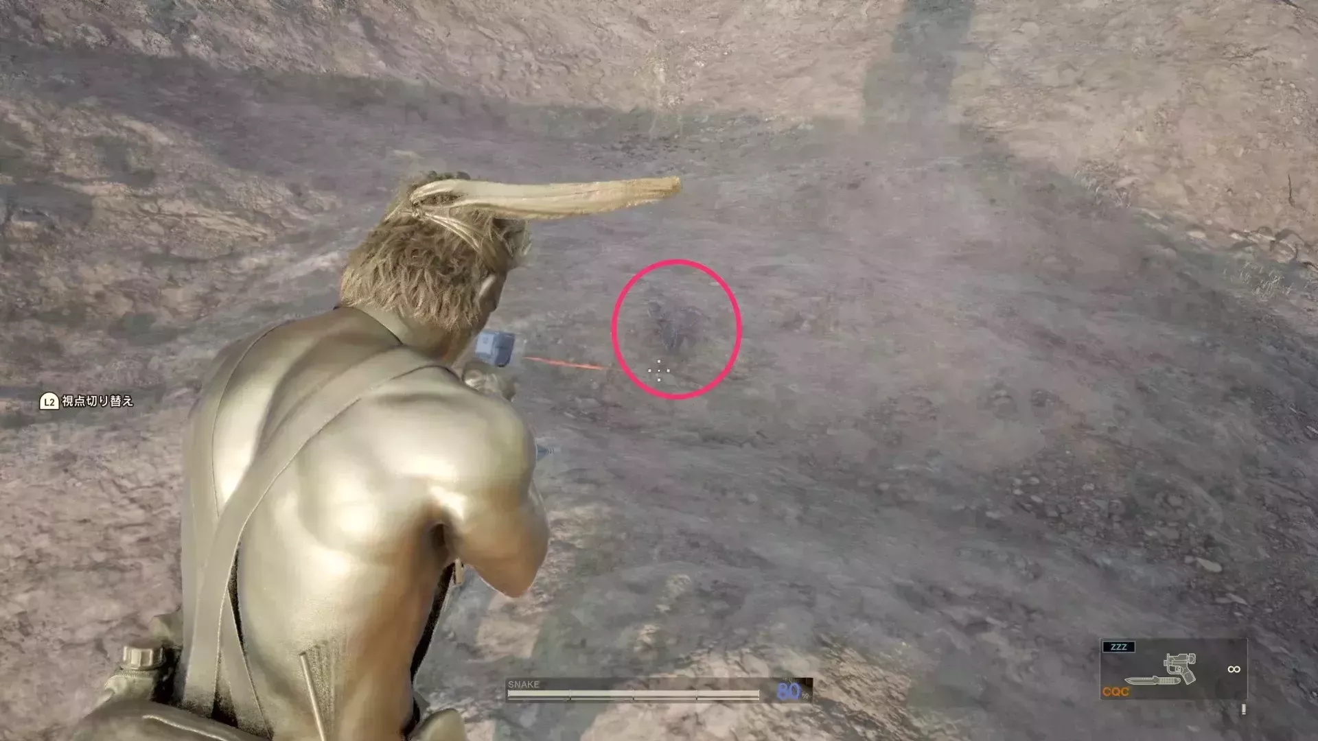 ダイオウサソリの見た目画像