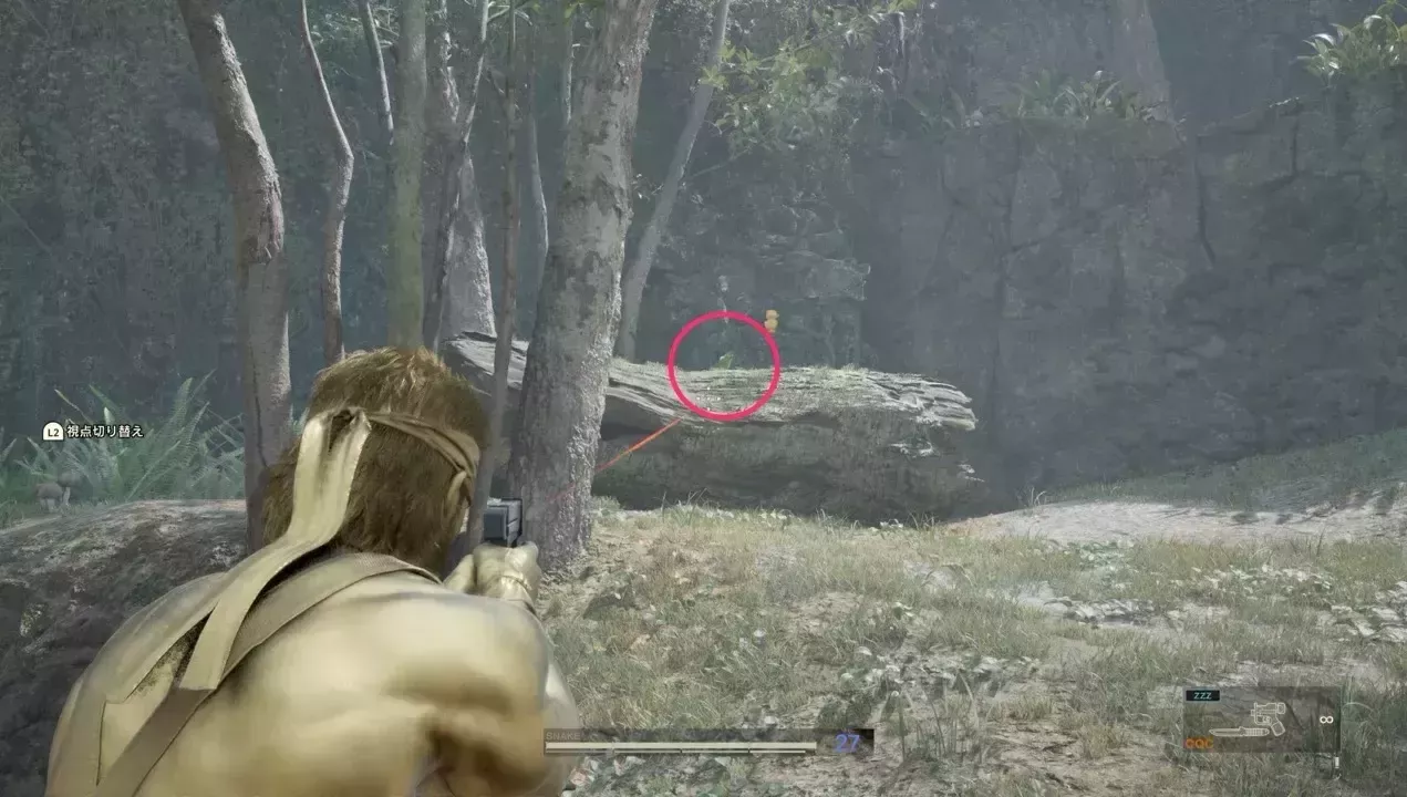 オウムの見た目画像