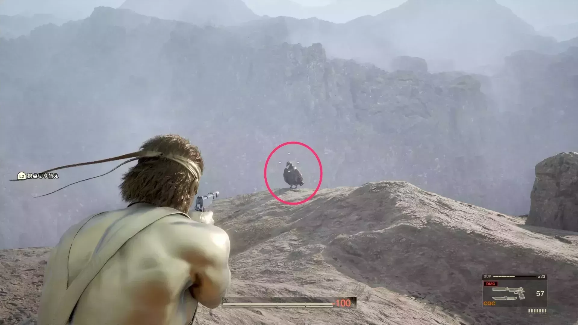 ベンガルハゲワシの見た目画像