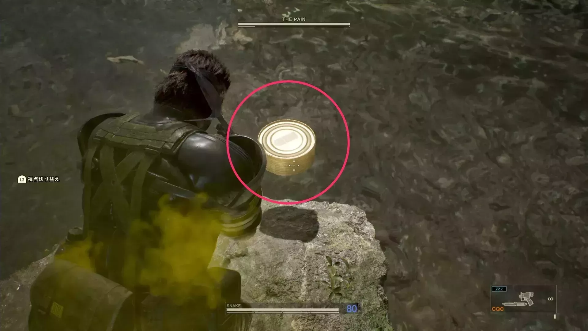 ザ・ペインの蜂が入った蜂の巣の見た目画像