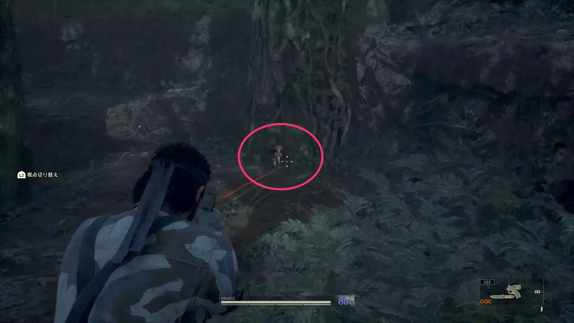 エゾテングダケの見た目画像