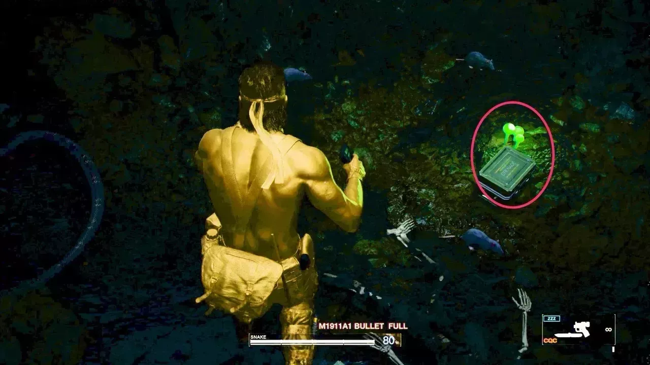 オロシャヒカリダケの見た目画像