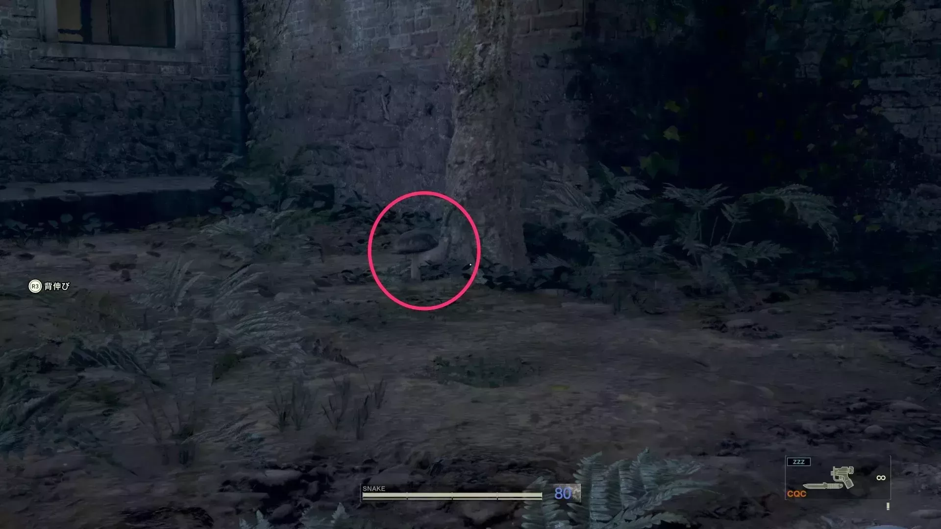 スパーツァの見た目画像