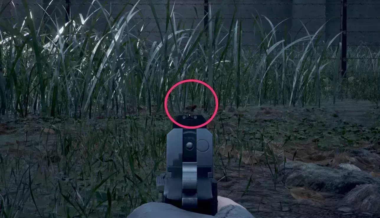 ベニスズメの見た目画像