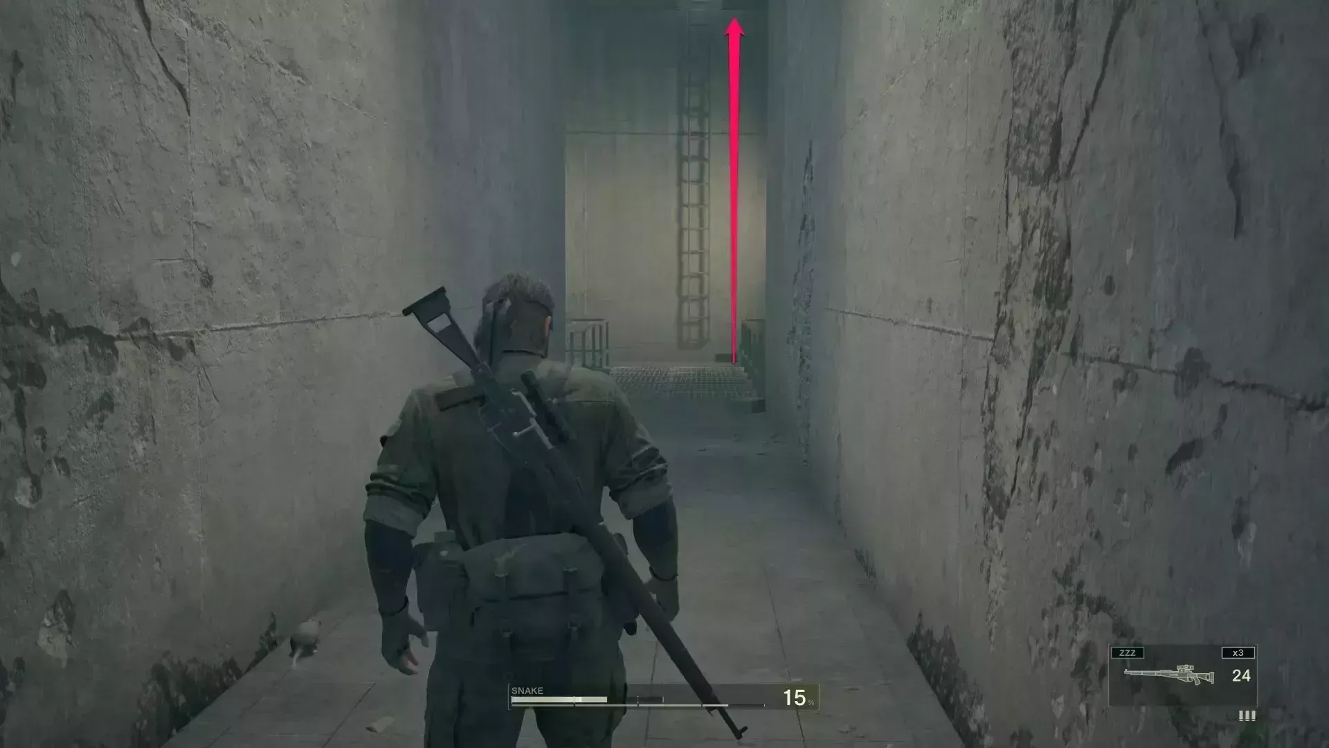 フューリー後ハシゴを登る