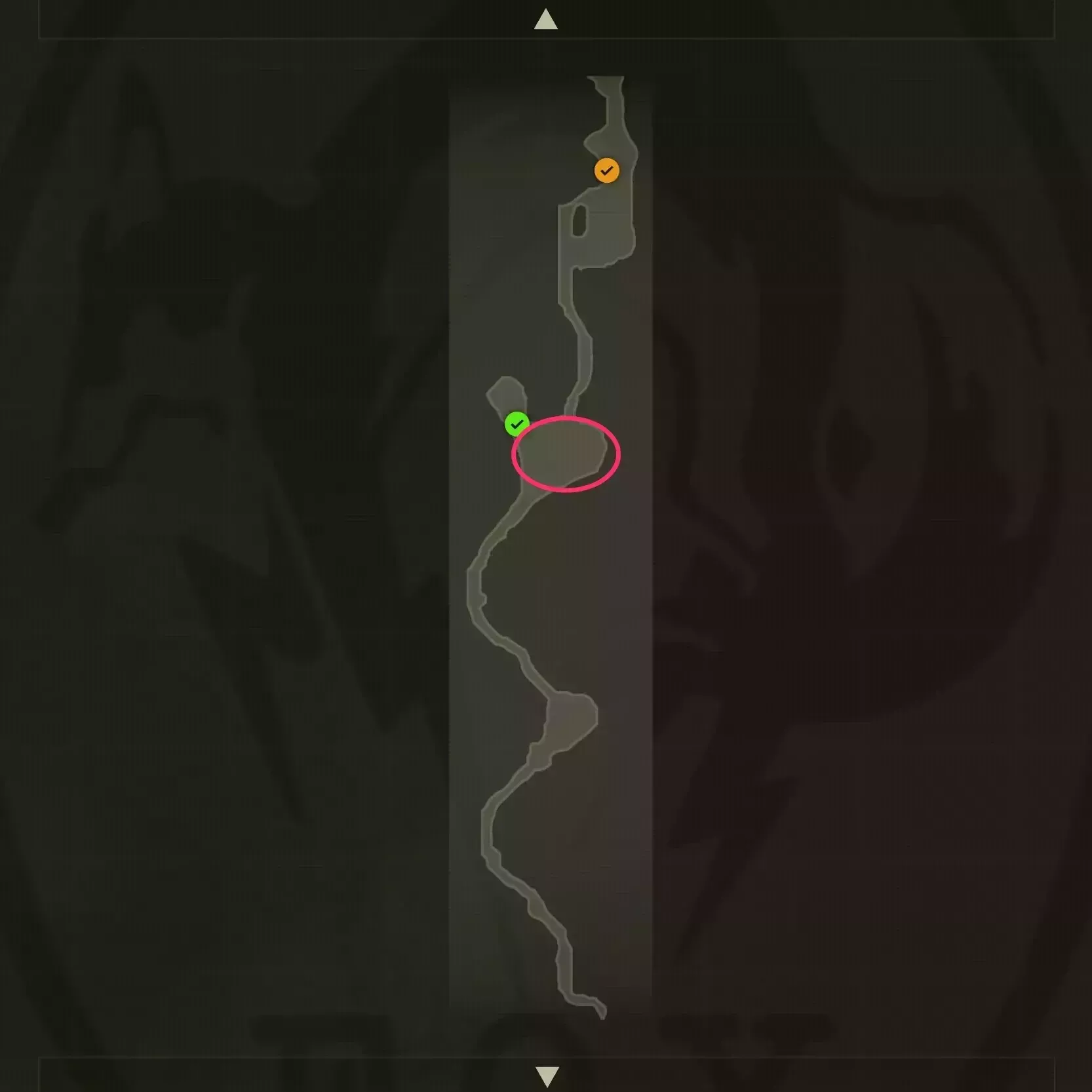 タイコブラのマップ画像