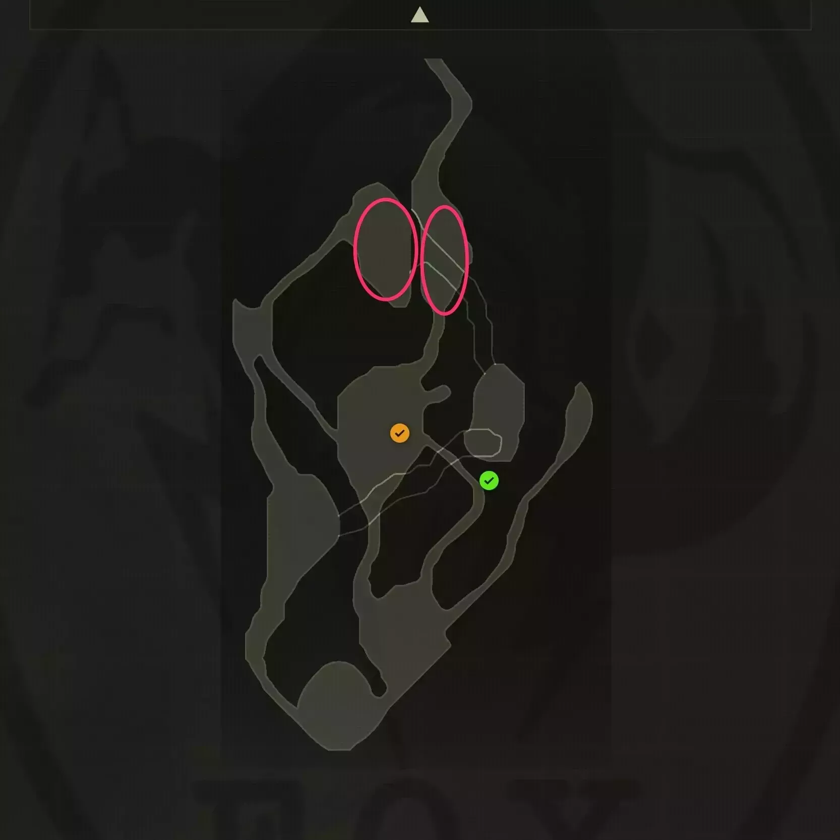 チスイコウモリのマップ画像