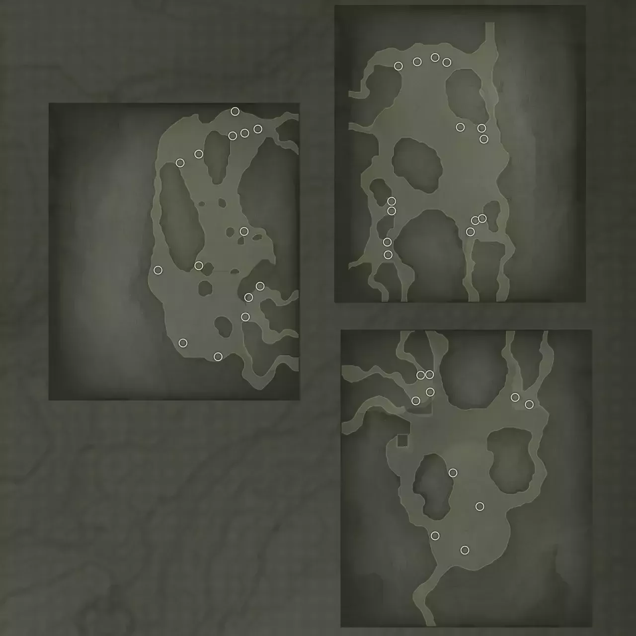 オウムのマップ画像