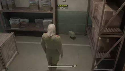 スコーピオンの見た目画像