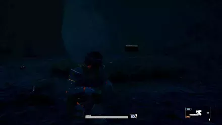 ユニフォーム・アニマルの見た目画像