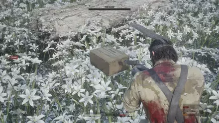 スネークの見た目画像