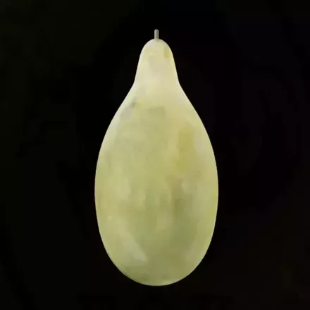 ロシアニセマンゴー画像