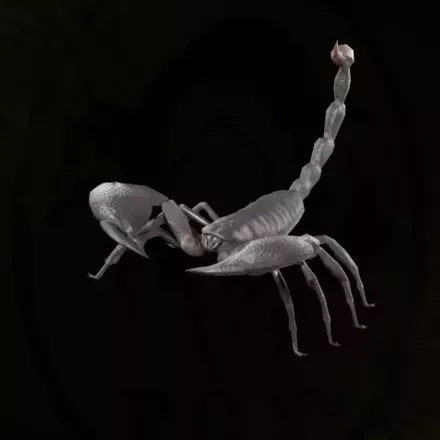 ダイオウサソリ画像