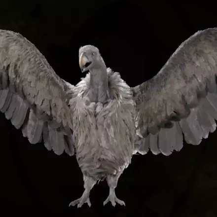 ベンガルハゲワシ画像