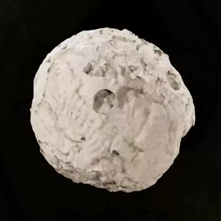 バルトスズメバチの巣画像