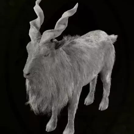 マーコール画像