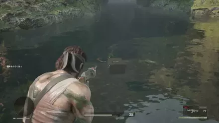 フェイスペイント・ウォーターの見た目画像