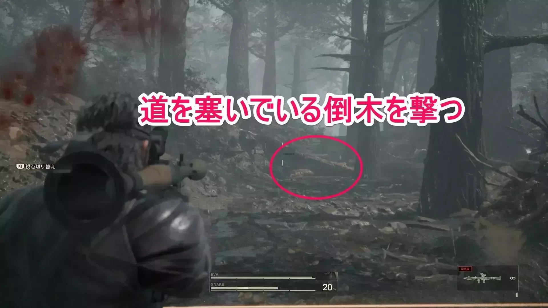 倒木を撃つ