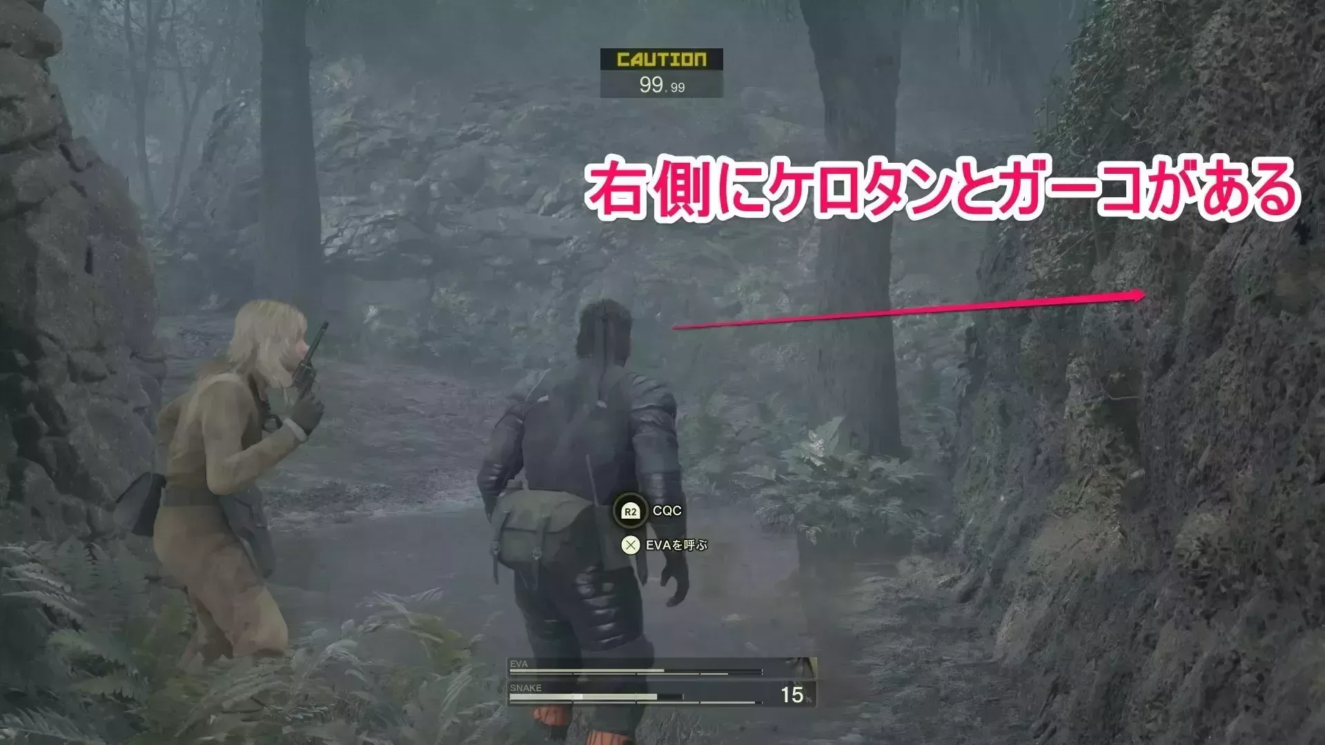 右側にケロタンとガーコ