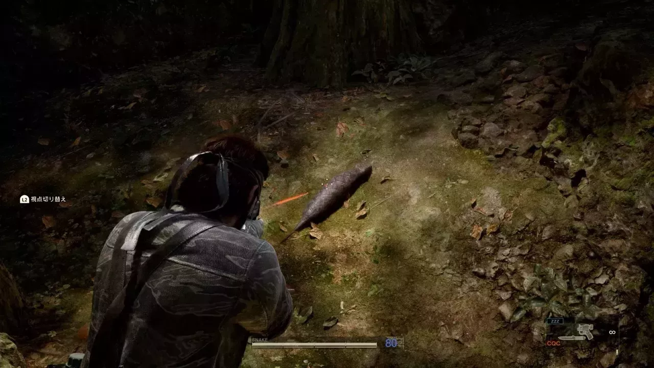 ツチノコティホゴルヌイ